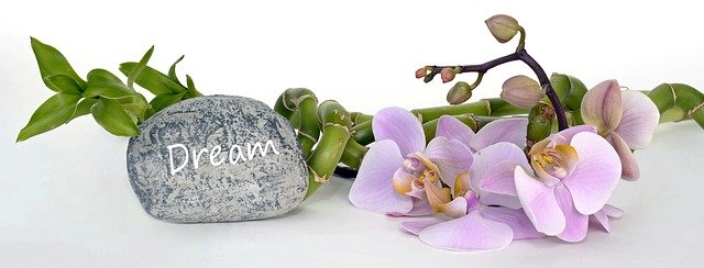 bambus + orchidej + kámen.jpg